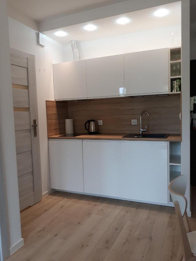 Apartament Szary Wilk Świeradów-Zdrój Εξωτερικό φωτογραφία